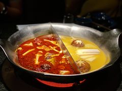 台式麻辣花胶鸡鸳鸯锅-湊湊火锅·茶憩(世博大道店)
