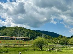-大水川景区