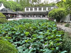 -上海醉白池公园