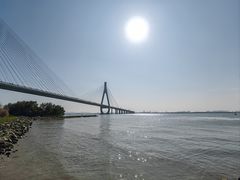 -芒洲湿地公园
