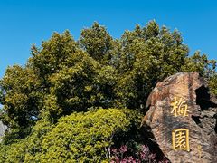 -无锡梅园公园