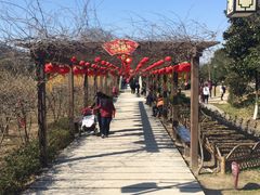 -白马涧龙池景区