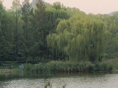 -北坞公园