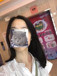 -木马造型