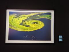 -罗红摄影艺术馆