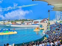 -秦皇岛乐岛海洋王国