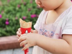 -蜜雪冰城(观音桥步行街店)