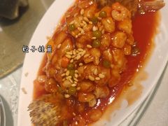 -光明邨大酒家(淮海路店)