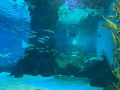 -常州海昌海洋探索馆
