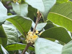 -苏州河梦清园环保主题公园