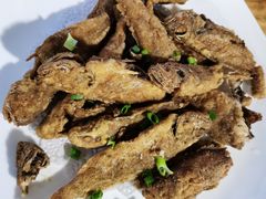 椒盐海鱼-阿弟特色海鲜餐厅·大排档(平潭店)