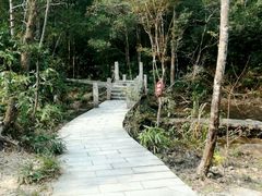 -九龙江国家森林公园