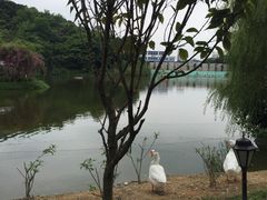 -厦门悦华酒店