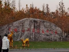 -上海海湾国家森林公园