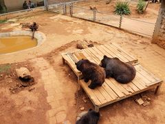 -昆明动物园