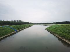 -东郊湿地公园