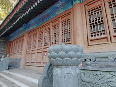 -法兴寺
