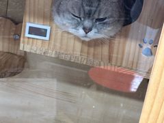 -艺味深尝(云锦路店)