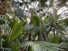 -国家植物园南园