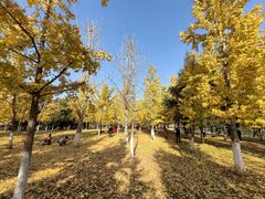 -长兴八都岕景区