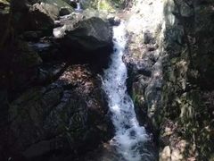 -藏龙百瀑风景区