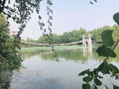 -东湖落雁景区