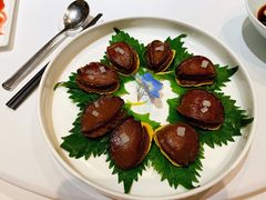 小鲍鱼-南麓·浙里(外滩店)