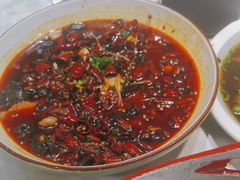 -蜀龙阁· 龍头水煮鱼(天坛店)