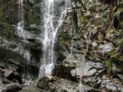-鼎湖山风景区
