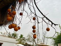 -悦哉·派对·草坪婚礼·围炉煮茶(三圣乡店)