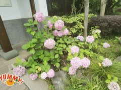 -江宁织造博物馆