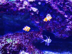 -成都浩海立方海洋公园