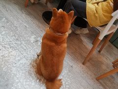 -小时光咖啡馆(北锣鼓巷店)
