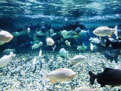 -成都浩海立方海洋公园