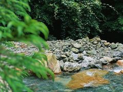 -西岭雪山大飞水景区
