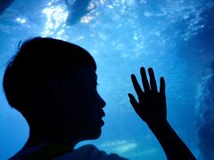 -左海海底世界