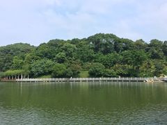 -广州市帽峰山景区
