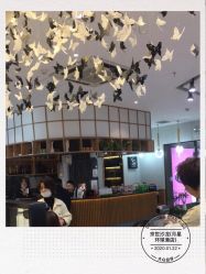 -京世沙龙