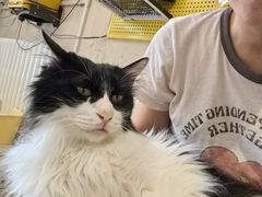 -平行世界·猫咖(首经贸店)