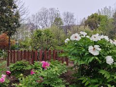 -江南大学(蠡湖校区)