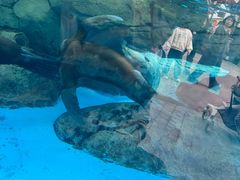 -海合安成都极地海洋公园