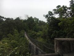 -东部华侨城