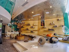 大堂-飞行喵MR PILOT|猫舍·猫咖(静安大融城店)