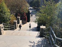-大连东软信息学院(软件园校区)