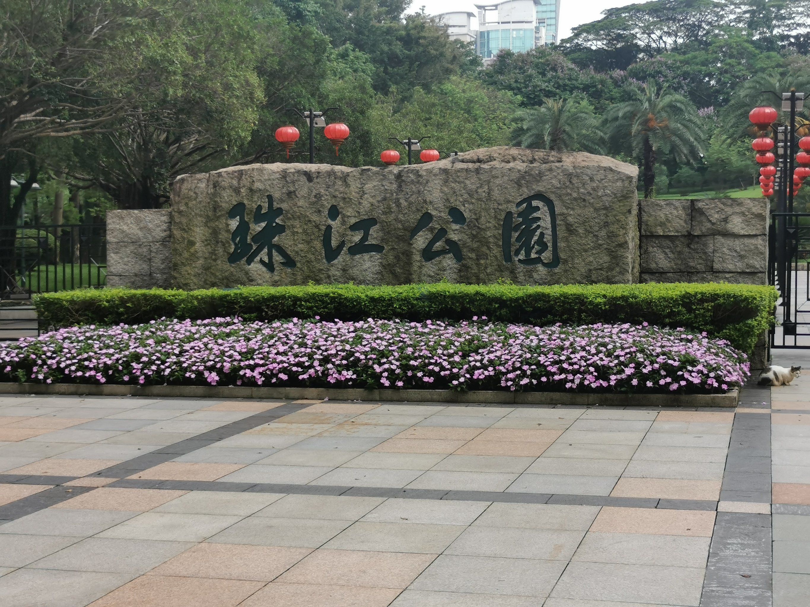 5.26珠江公园