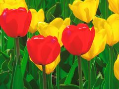 -北京植物园南门售票处