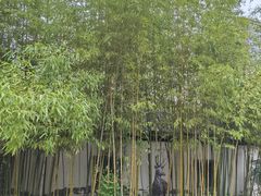 -龙潭水乡