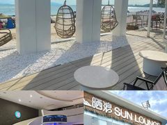 -广东惠东海龟国家级自然保护区