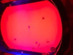 -沈阳海洋探索中心