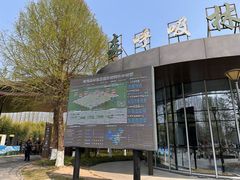 -黄海国家森林公园